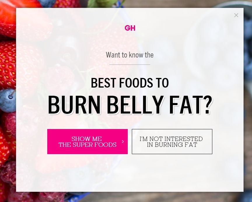 bur-belly-fat-optin