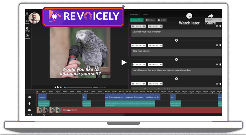 revoicely-review