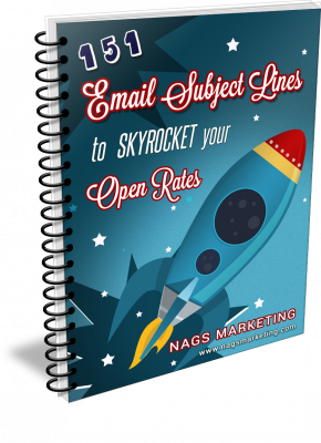 151-Email-Subject-Lines-to-Skyrocket-Your Open-Rates-eCover